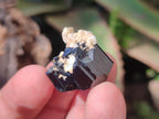 Natural Schorl Black Tourmaline Crystal Specimens x 70 From Erongo, Namibia - Toprock Gemstones and Minerals 