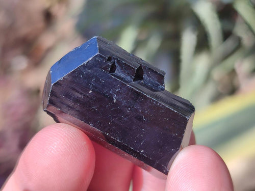 Natural Schorl Black Tourmaline Crystal Specimens x 70 From Erongo, Namibia - Toprock Gemstones and Minerals 