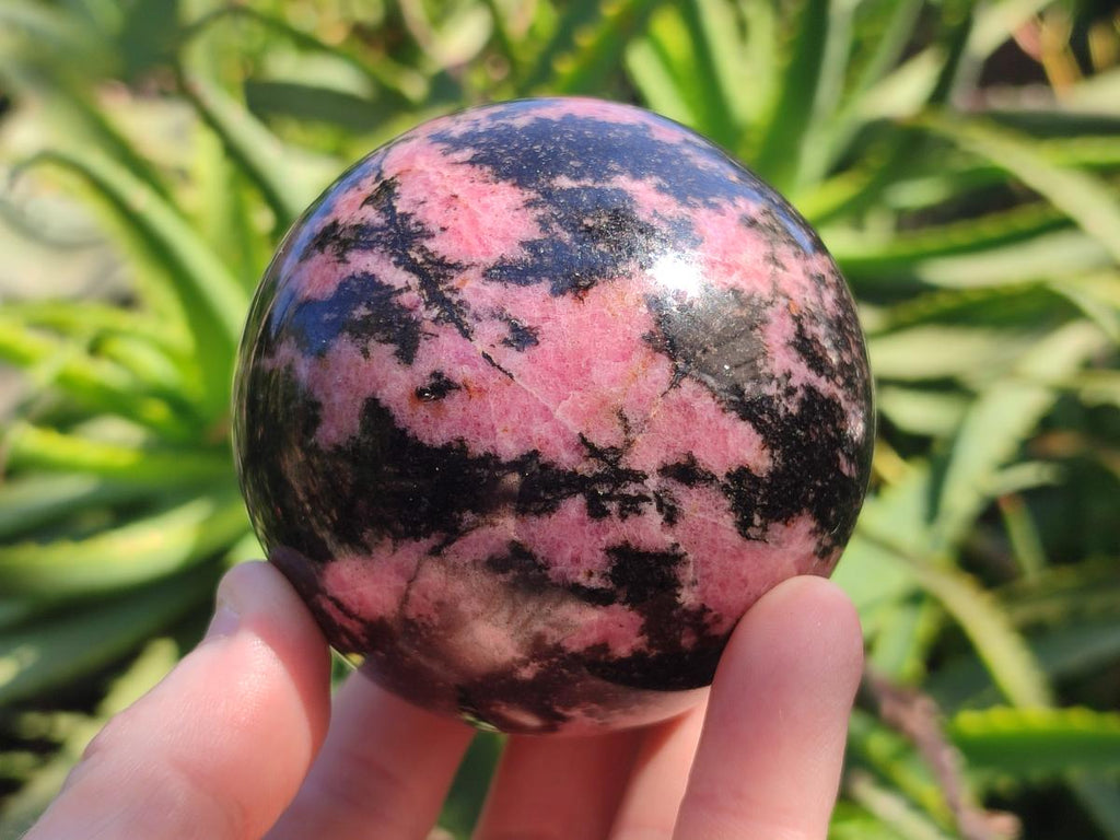 Polished Rhodonite Gemstone Spheres x 2 From Ambindavato, Madagascar - Toprock Gemstones and Minerals 