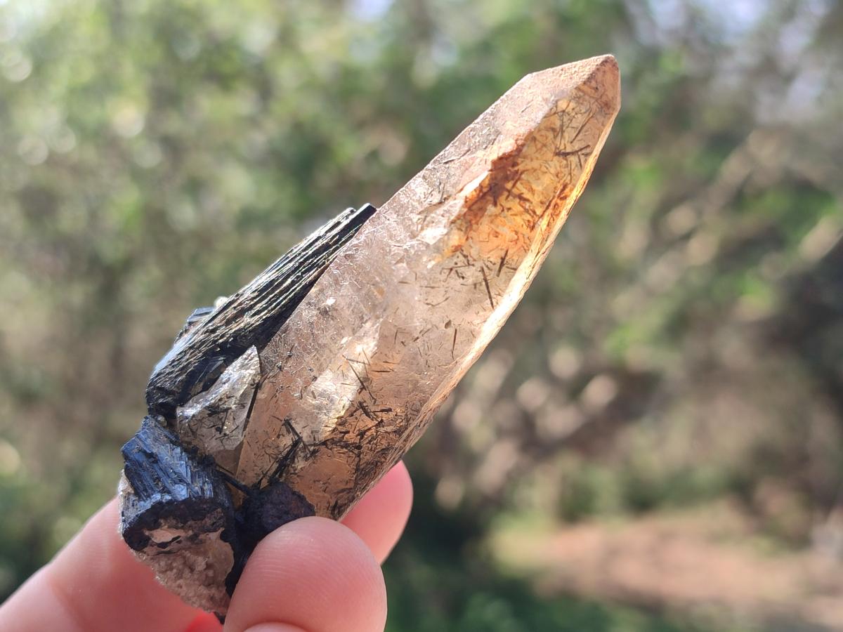 Natural Smokey Quartz Specimens with Black Tourmaline x 19 From Erongo, Namibia - Toprock Gemstones and Minerals 
