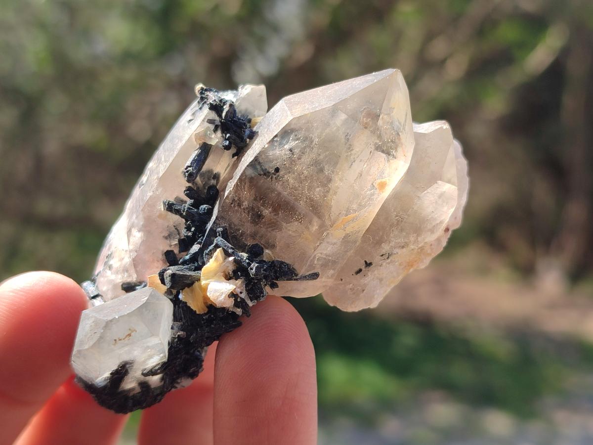 Natural Smokey Quartz Specimens with Black Tourmaline x 19 From Erongo, Namibia - Toprock Gemstones and Minerals 