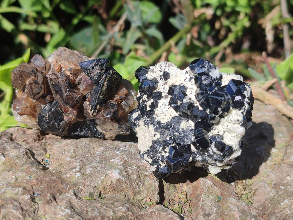 Natural Smokey Quartz Specimens with Black Tourmaline x 19 From Erongo, Namibia - Toprock Gemstones and Minerals 