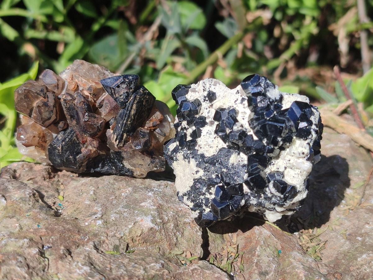 Natural Smokey Quartz Specimens with Black Tourmaline x 19 From Erongo, Namibia - Toprock Gemstones and Minerals 