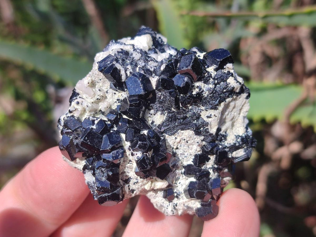 Natural Smokey Quartz Specimens with Black Tourmaline x 19 From Erongo, Namibia - Toprock Gemstones and Minerals 