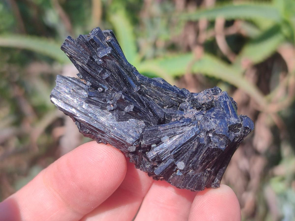 Natural Smokey Quartz Specimens with Black Tourmaline x 19 From Erongo, Namibia - Toprock Gemstones and Minerals 
