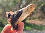 Natural Smokey Quartz Specimens with Black Tourmaline x 19 From Erongo, Namibia - Toprock Gemstones and Minerals 