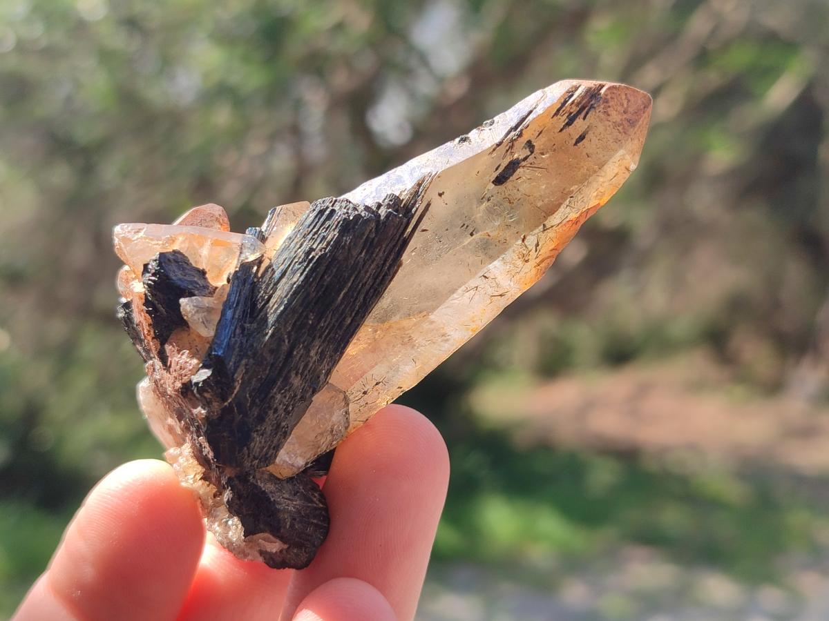 Natural Smokey Quartz Specimens with Black Tourmaline x 19 From Erongo, Namibia - Toprock Gemstones and Minerals 