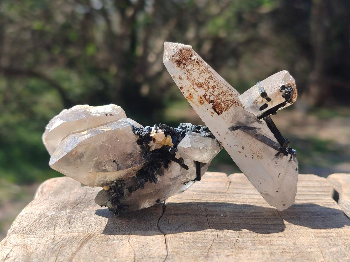 Natural Smokey Quartz Specimens with Black Tourmaline x 19 From Erongo, Namibia - Toprock Gemstones and Minerals 