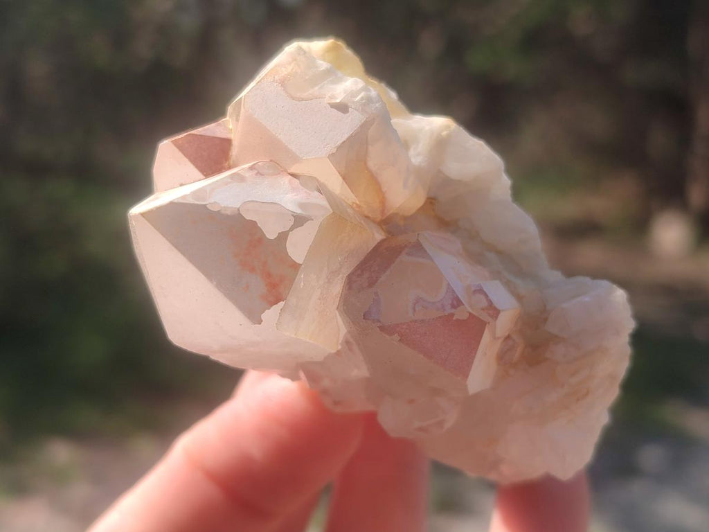 Natural Malagasy Quartz Clusters x 12 From Madagascar - Toprock Gemstones and Minerals 