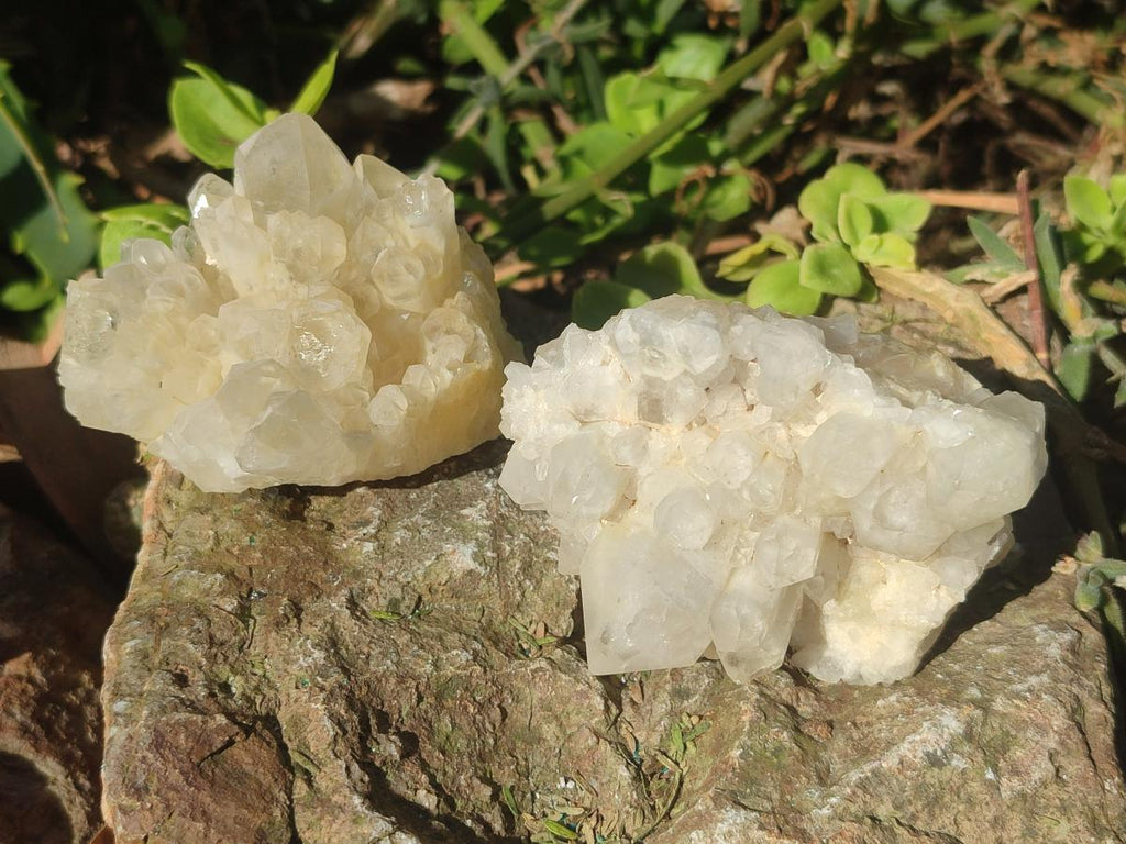 Natural Malagasy Quartz Clusters x 12 From Madagascar - Toprock Gemstones and Minerals 