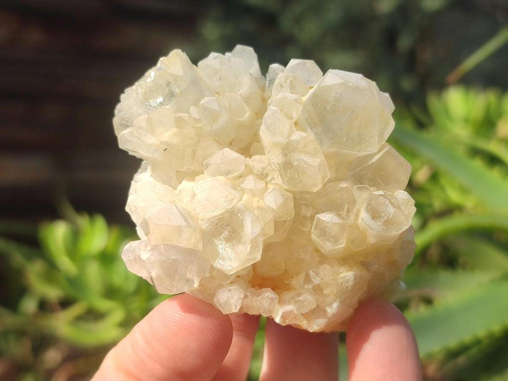 Natural Malagasy Quartz Clusters x 12 From Madagascar - Toprock Gemstones and Minerals 