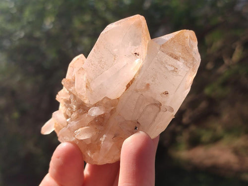 Natural Malagasy Quartz Clusters x 12 From Madagascar - Toprock Gemstones and Minerals 