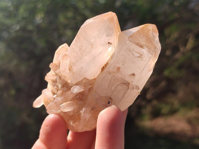Natural Malagasy Quartz Clusters x 12 From Madagascar - Toprock Gemstones and Minerals 