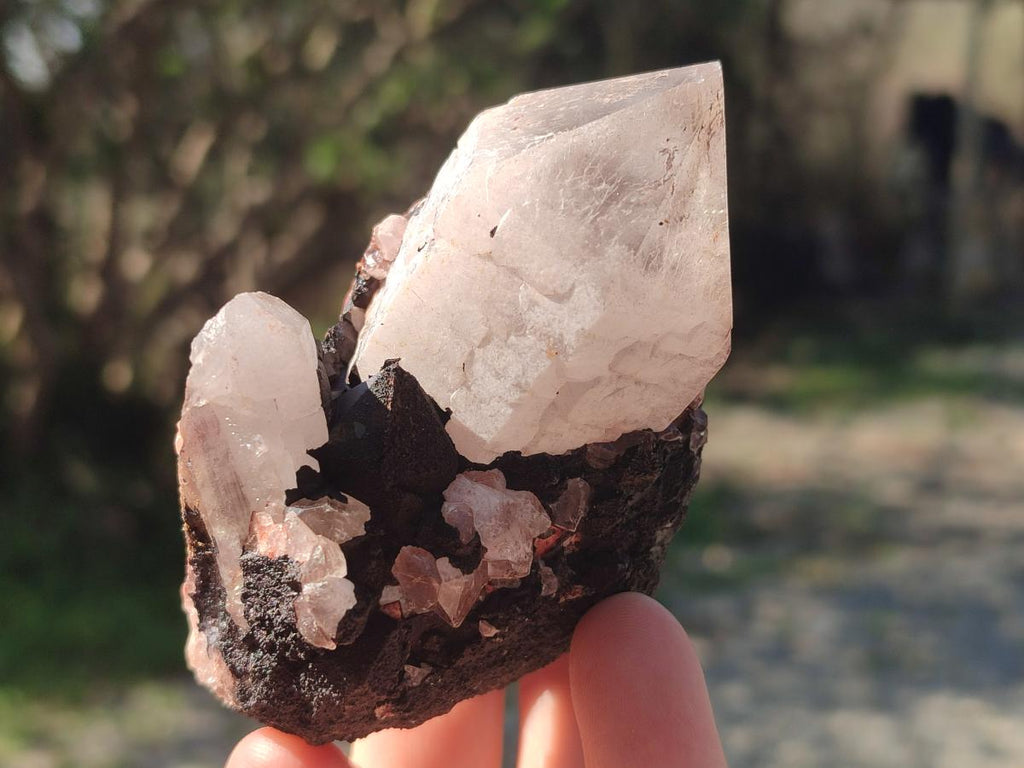 Natural Malagasy Quartz Clusters x 12 From Madagascar - Toprock Gemstones and Minerals 