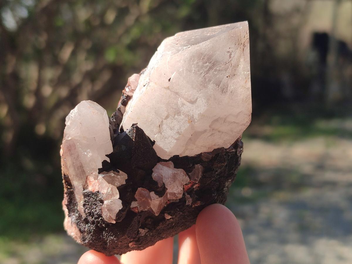 Natural Malagasy Quartz Clusters x 12 From Madagascar - Toprock Gemstones and Minerals 
