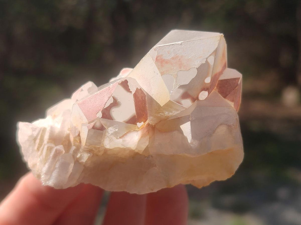 Natural Malagasy Quartz Clusters x 12 From Madagascar - Toprock Gemstones and Minerals 