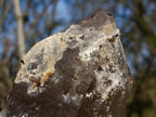 Natural Smokey Quartz Crystals with Hyalite Opal x 3 From Erongo, Namibia - Toprock Gemstones and Minerals 