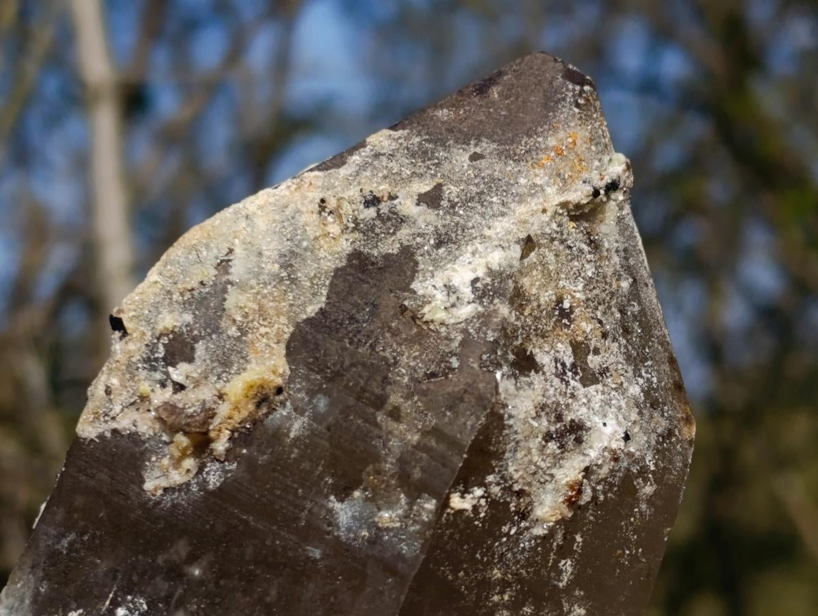 Natural Smokey Quartz Crystals with Hyalite Opal x 3 From Erongo, Namibia - Toprock Gemstones and Minerals 