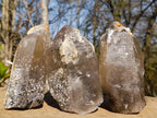 Natural Smokey Quartz Crystals with Hyalite Opal x 3 From Erongo, Namibia - Toprock Gemstones and Minerals 