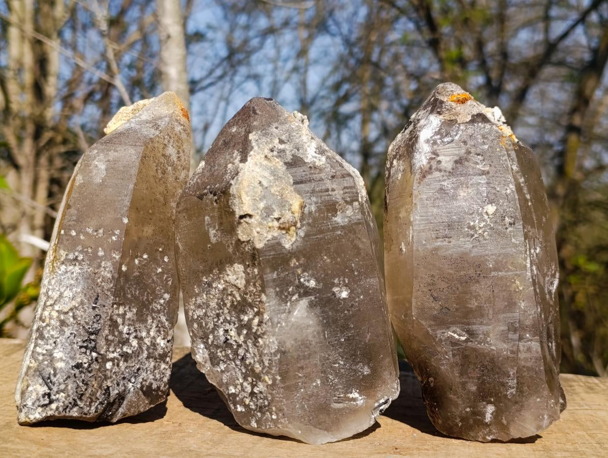 Natural Smokey Quartz Crystals with Hyalite Opal x 3 From Erongo, Namibia - Toprock Gemstones and Minerals 