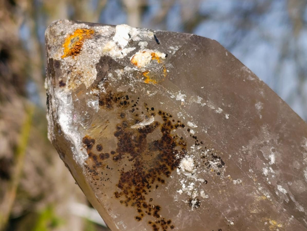 Natural Smokey Quartz Crystals with Hyalite Opal x 3 From Erongo, Namibia - Toprock Gemstones and Minerals 