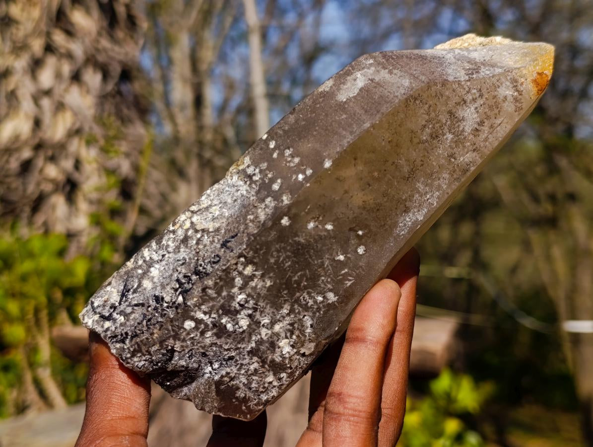 Natural Smokey Quartz Crystals with Hyalite Opal x 3 From Erongo, Namibia - Toprock Gemstones and Minerals 