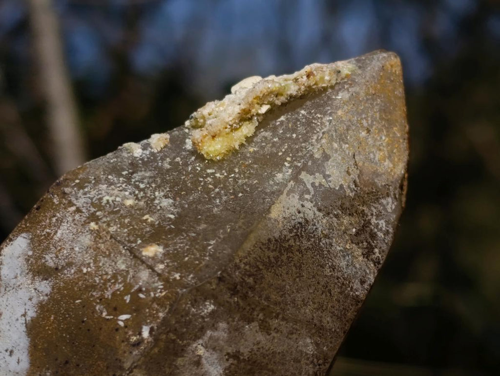 Natural Smokey Quartz Crystals with Hyalite Opal x 3 From Erongo, Namibia - Toprock Gemstones and Minerals 