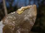 Natural Smokey Quartz Crystals with Hyalite Opal x 3 From Erongo, Namibia - Toprock Gemstones and Minerals 