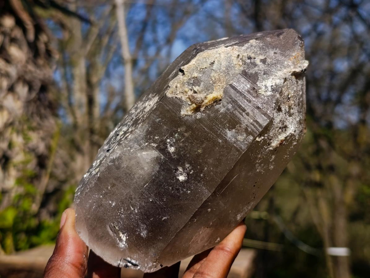 Natural Smokey Quartz Crystals with Hyalite Opal x 3 From Erongo, Namibia - Toprock Gemstones and Minerals 