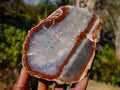 Polished One Side Red Ringed Shashe River Agate Nodule Pair x 1 From Shashe River, Zimbabwe - Toprock Gemstones and Minerals 