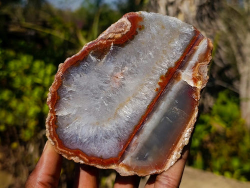 Polished One Side Red Ringed Shashe River Agate Nodule Pair x 1 From Shashe River, Zimbabwe - Toprock Gemstones and Minerals 