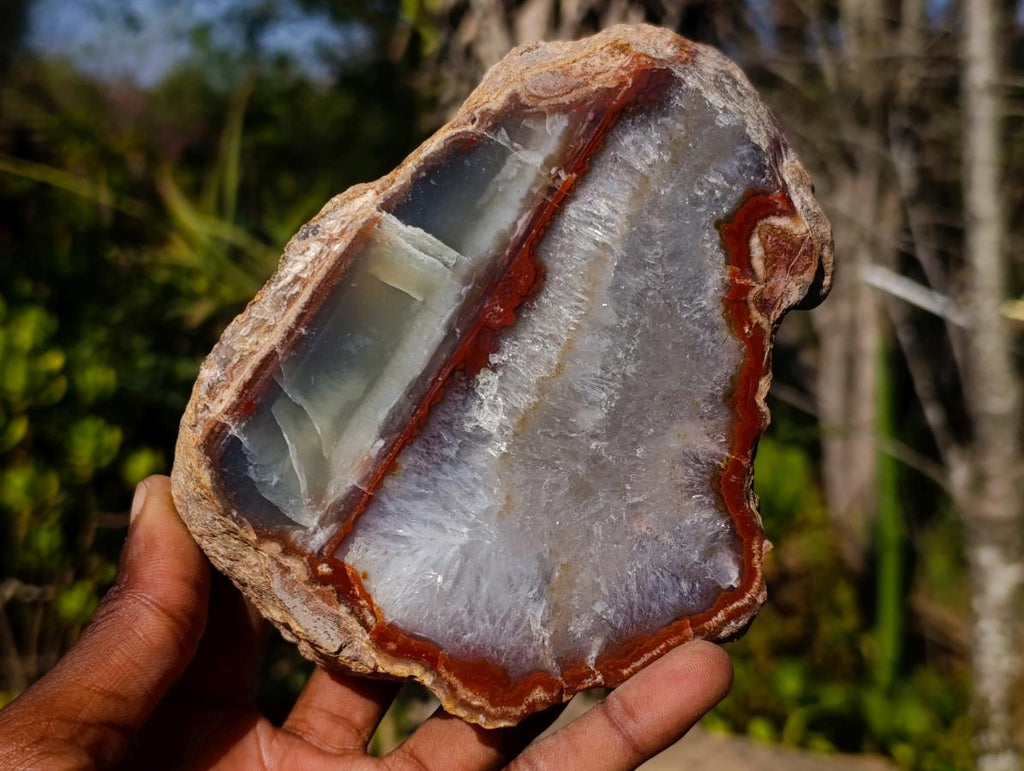 Polished One Side Red Ringed Shashe River Agate Nodule Pair x 1 From Shashe River, Zimbabwe - Toprock Gemstones and Minerals 