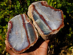 Polished One Side Red Ringed Shashe River Agate Nodule Pair x 1 From Shashe River, Zimbabwe - Toprock Gemstones and Minerals 