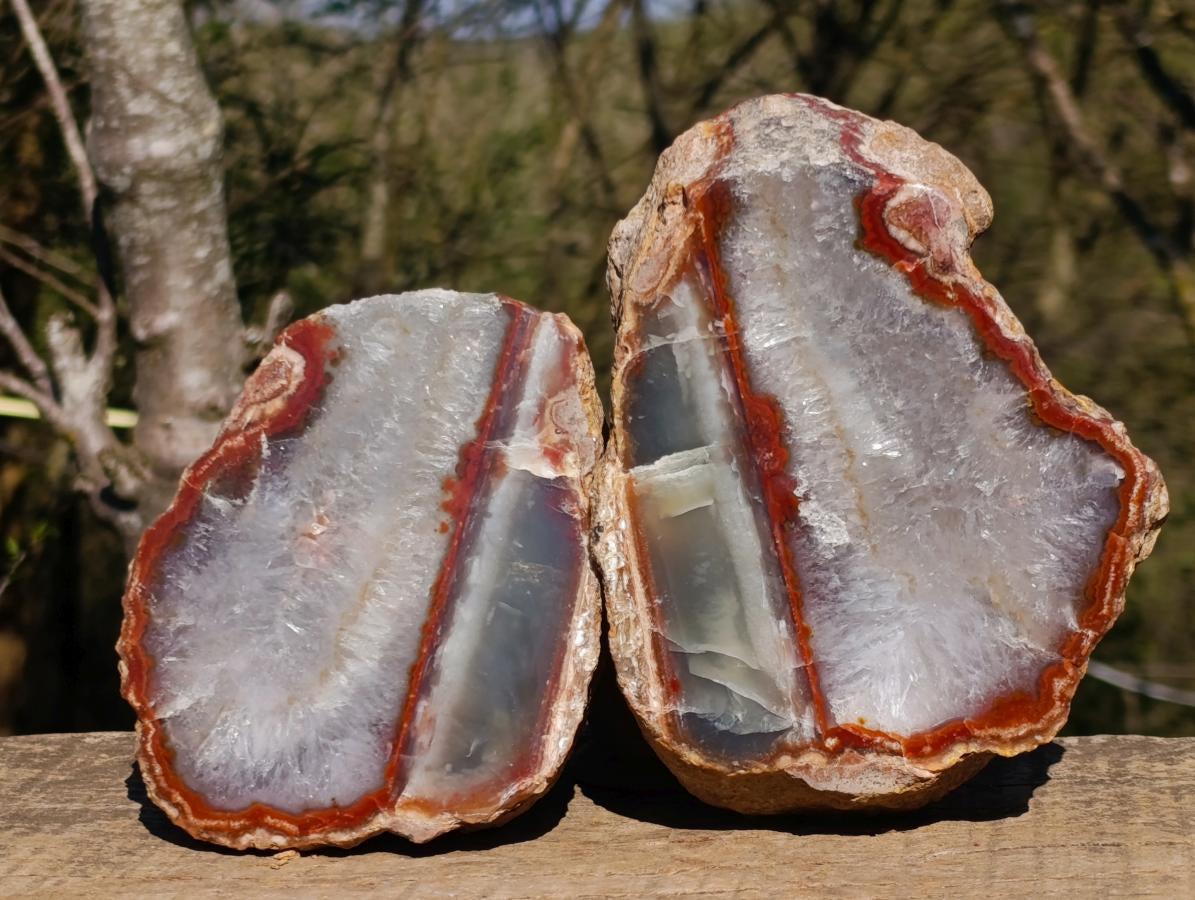 Polished One Side Red Ringed Shashe River Agate Nodule Pair x 1 From Shashe River, Zimbabwe - Toprock Gemstones and Minerals 