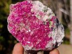 Natural Salrose Cobaltoan Dolomite Specimens x 6 From Kakanda, Congo - Toprock Gemstones and Minerals 