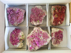 Natural Salrose Cobaltoan Dolomite Specimens x 6 From Kakanda, Congo - Toprock Gemstones and Minerals 