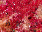 Natural Salrose Cobaltoan Dolomite Specimens x 6 From Kakanda, Congo - Toprock Gemstones and Minerals 