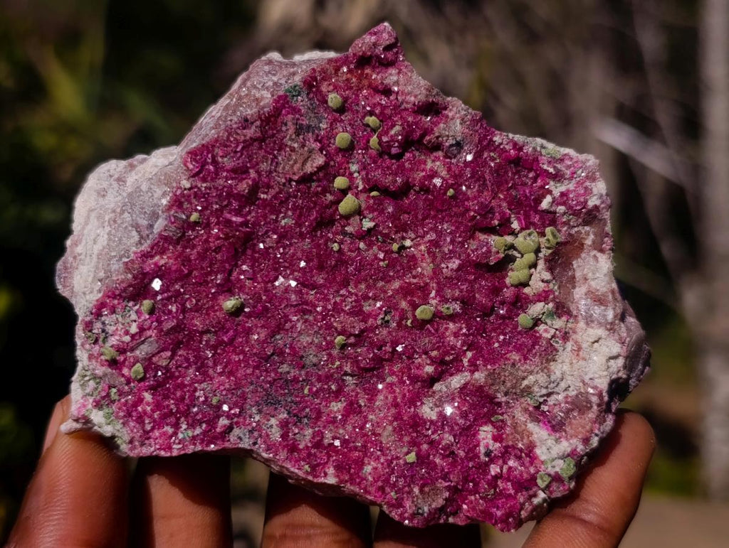 Natural Salrose Cobaltoan Dolomite Specimens x 6 From Kakanda, Congo - Toprock Gemstones and Minerals 