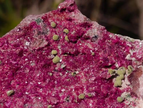 Natural Salrose Cobaltoan Dolomite Specimens x 6 From Kakanda, Congo - Toprock Gemstones and Minerals 