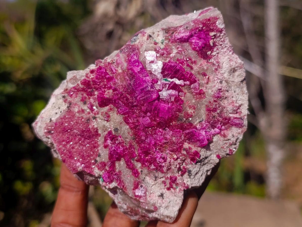 Natural Salrose Cobaltoan Dolomite Specimens x 6 From Kakanda, Congo - Toprock Gemstones and Minerals 