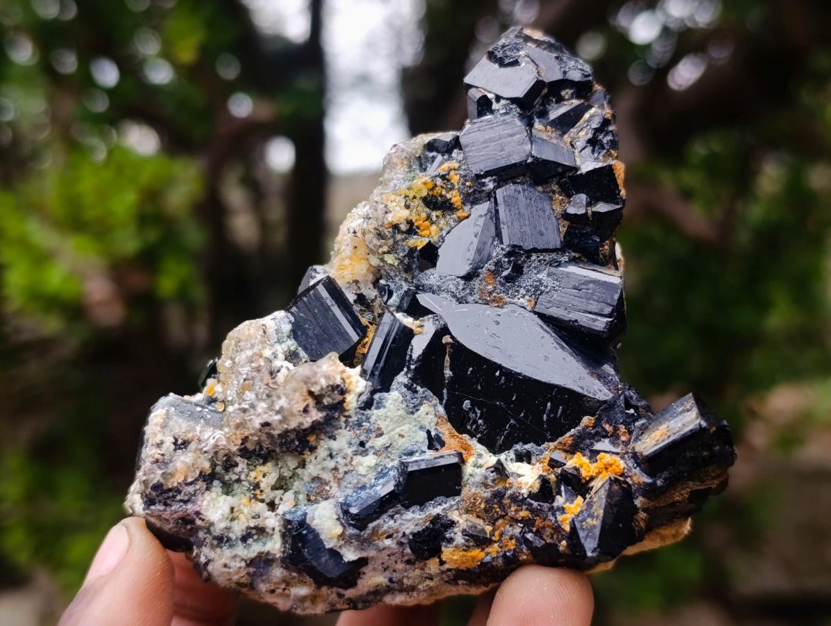 Natural Schorl Black Tourmaline with Smokey Quartz x 48 From Erongo, Namibia - Toprock Gemstones and Minerals 