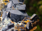 Natural Schorl Black Tourmaline with Smokey Quartz x 48 From Erongo, Namibia - Toprock Gemstones and Minerals 