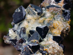 Natural Schorl Black Tourmaline with Smokey Quartz x 48 From Erongo, Namibia - Toprock Gemstones and Minerals 