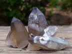 Natural Schorl Black Tourmaline with Smokey Quartz x 48 From Erongo, Namibia - Toprock Gemstones and Minerals 