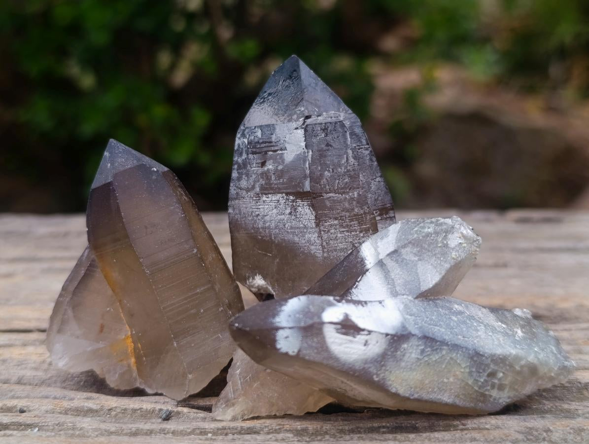 Natural Schorl Black Tourmaline with Smokey Quartz x 48 From Erongo, Namibia - Toprock Gemstones and Minerals 