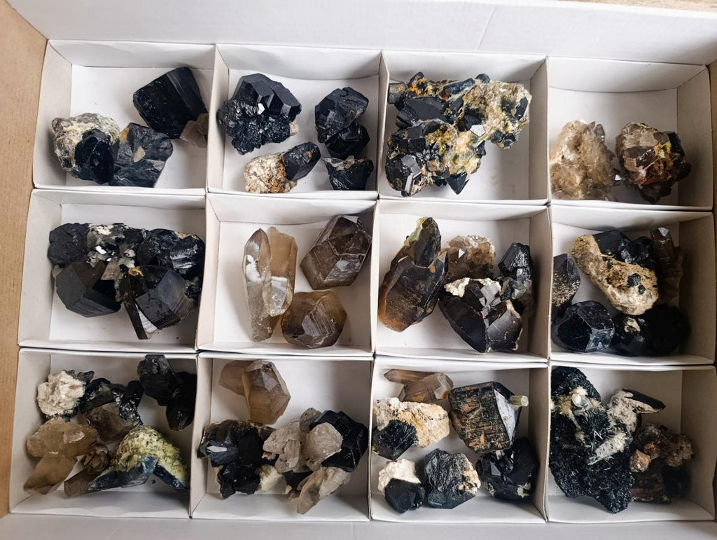 Natural Schorl Black Tourmaline with Smokey Quartz x 48 From Erongo, Namibia - Toprock Gemstones and Minerals 