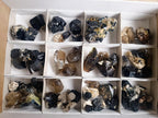 Natural Schorl Black Tourmaline with Smokey Quartz x 48 From Erongo, Namibia - Toprock Gemstones and Minerals 