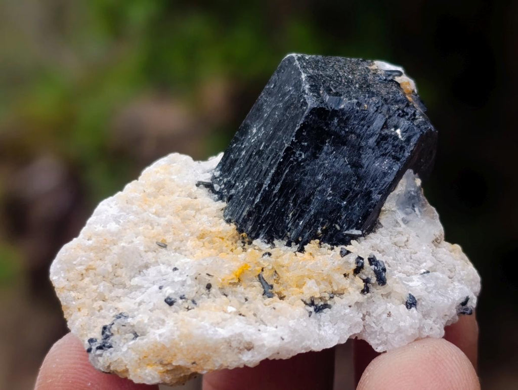 Natural Schorl Black Tourmaline with Smokey Quartz x 48 From Erongo, Namibia - Toprock Gemstones and Minerals 