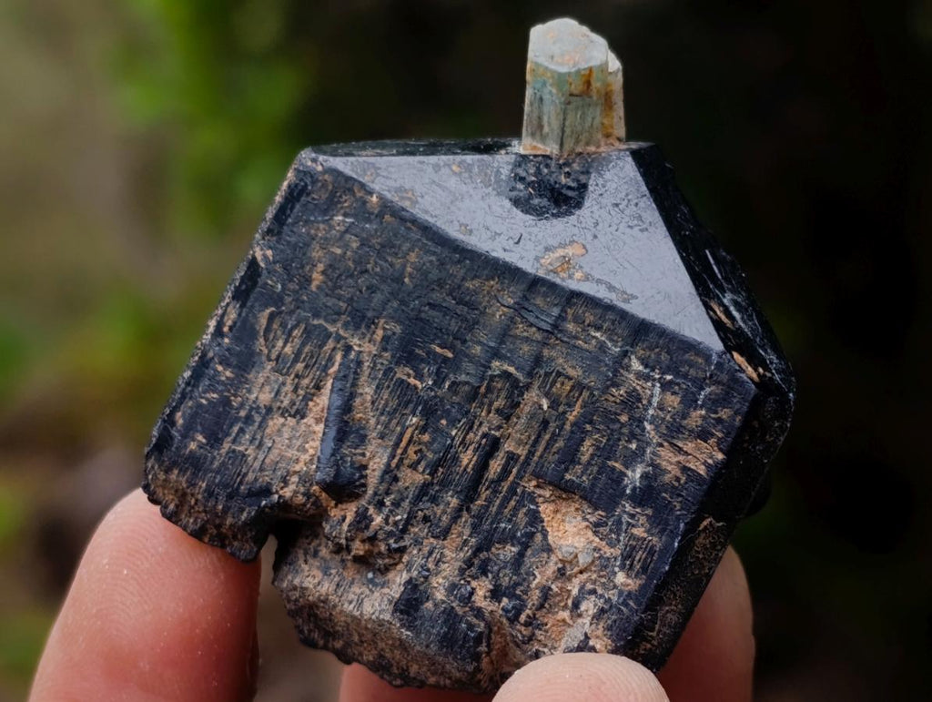 Natural Schorl Black Tourmaline with Smokey Quartz x 48 From Erongo, Namibia - Toprock Gemstones and Minerals 