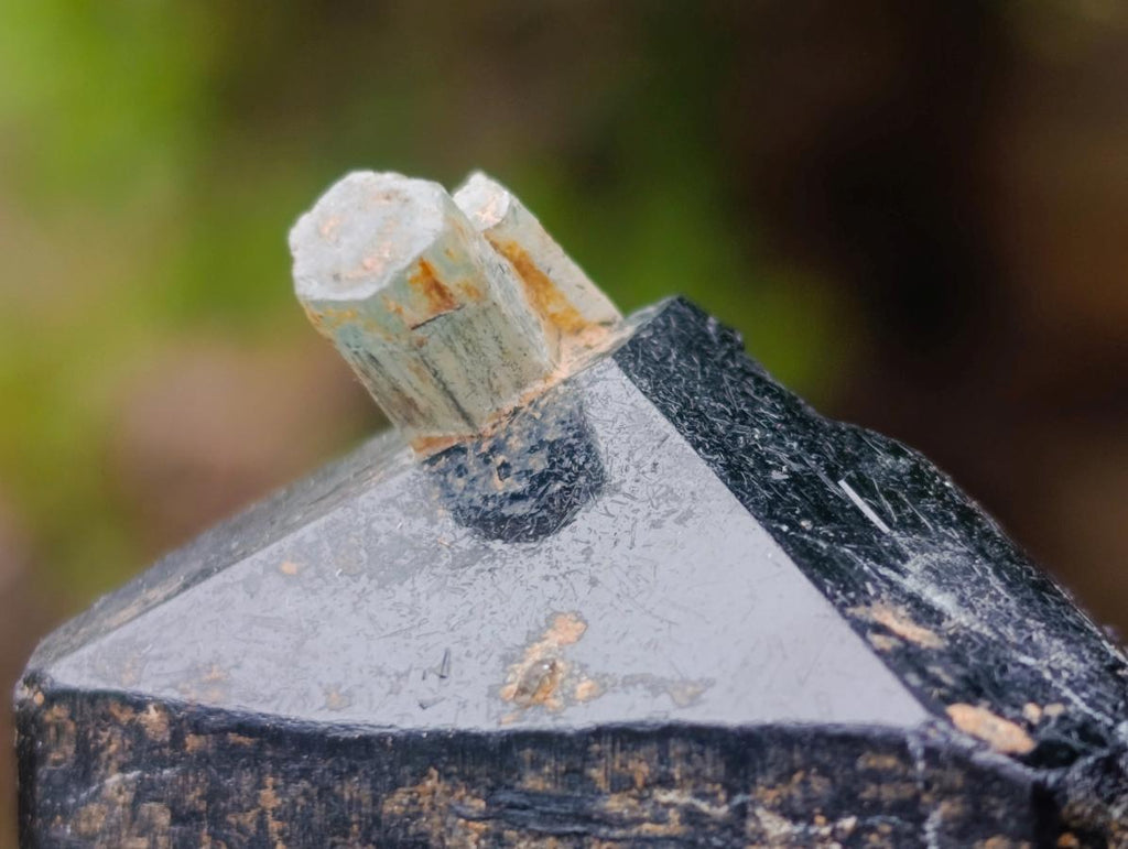 Natural Schorl Black Tourmaline with Smokey Quartz x 48 From Erongo, Namibia - Toprock Gemstones and Minerals 